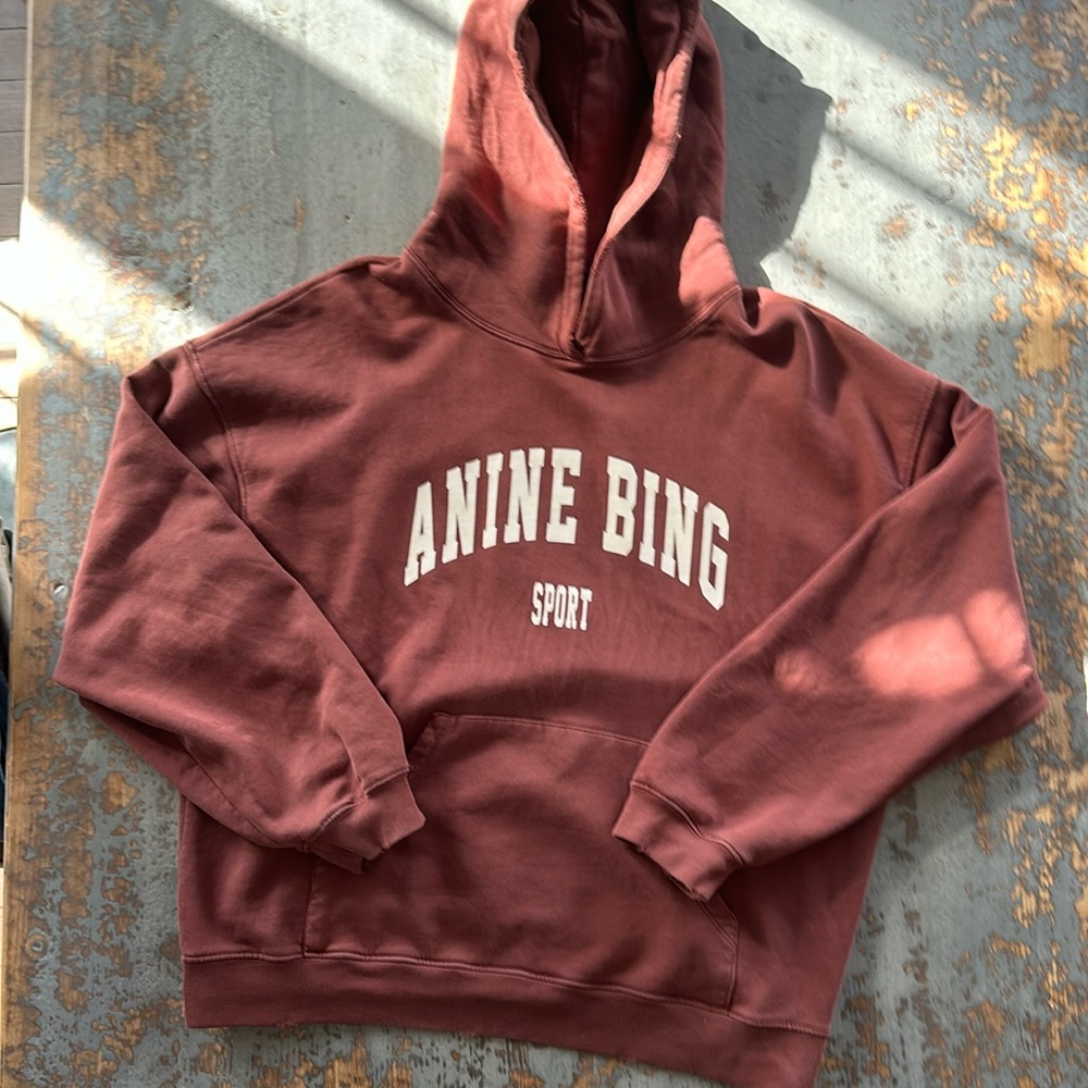 Anine Bing Maroon Hoodie